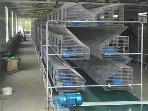 福清子母兔子笼批发 云蒙湖笼具厂欧式兔笼与鞋帽批发的跨界商机